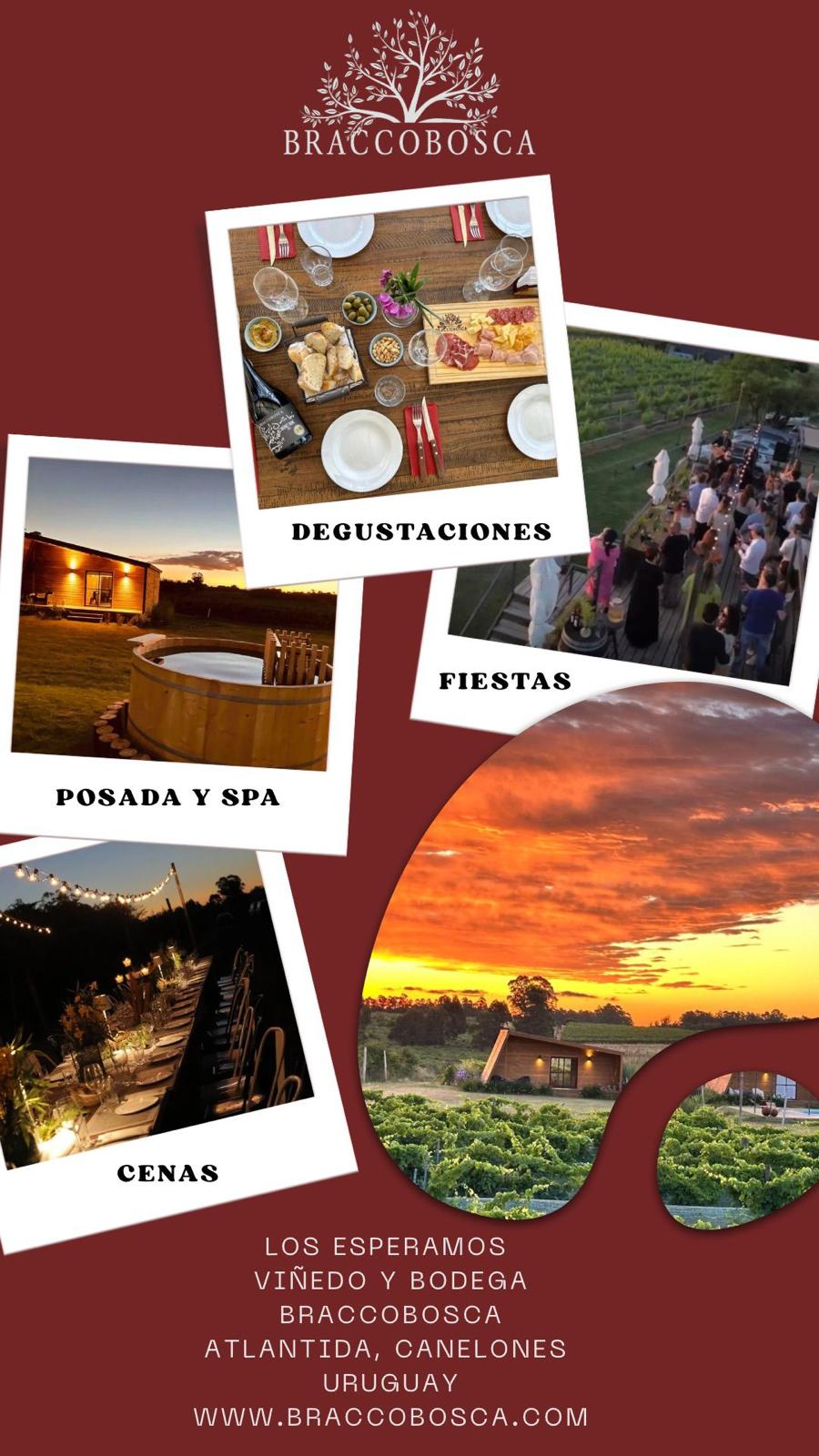 WINE TOUR - DESPEDIDA