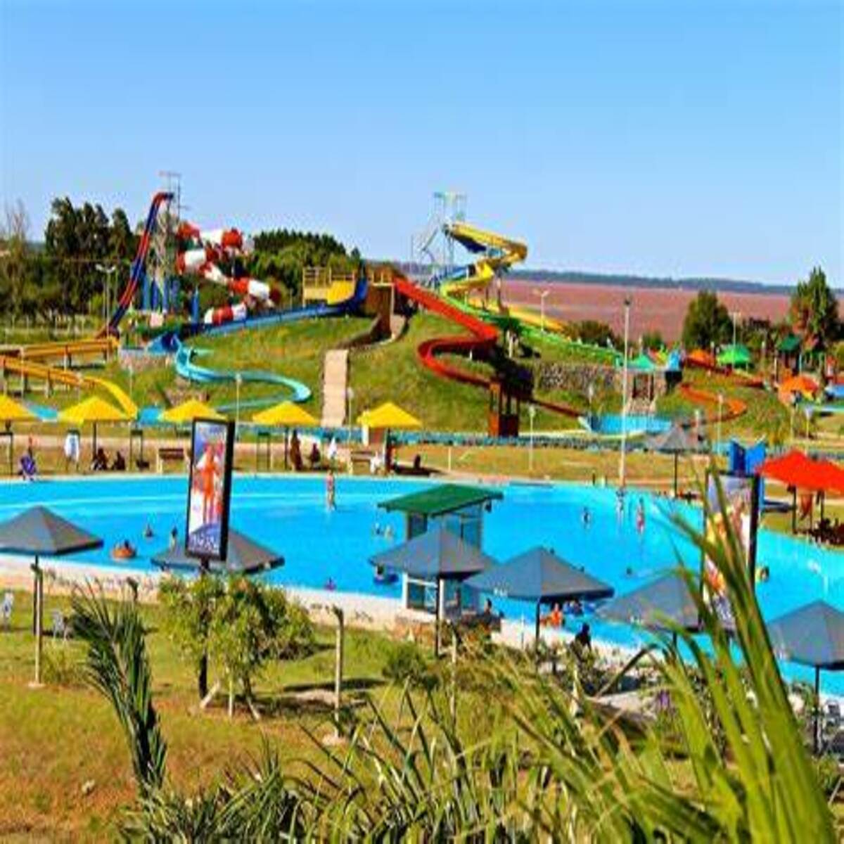 Termas de Federación Turismo 2026